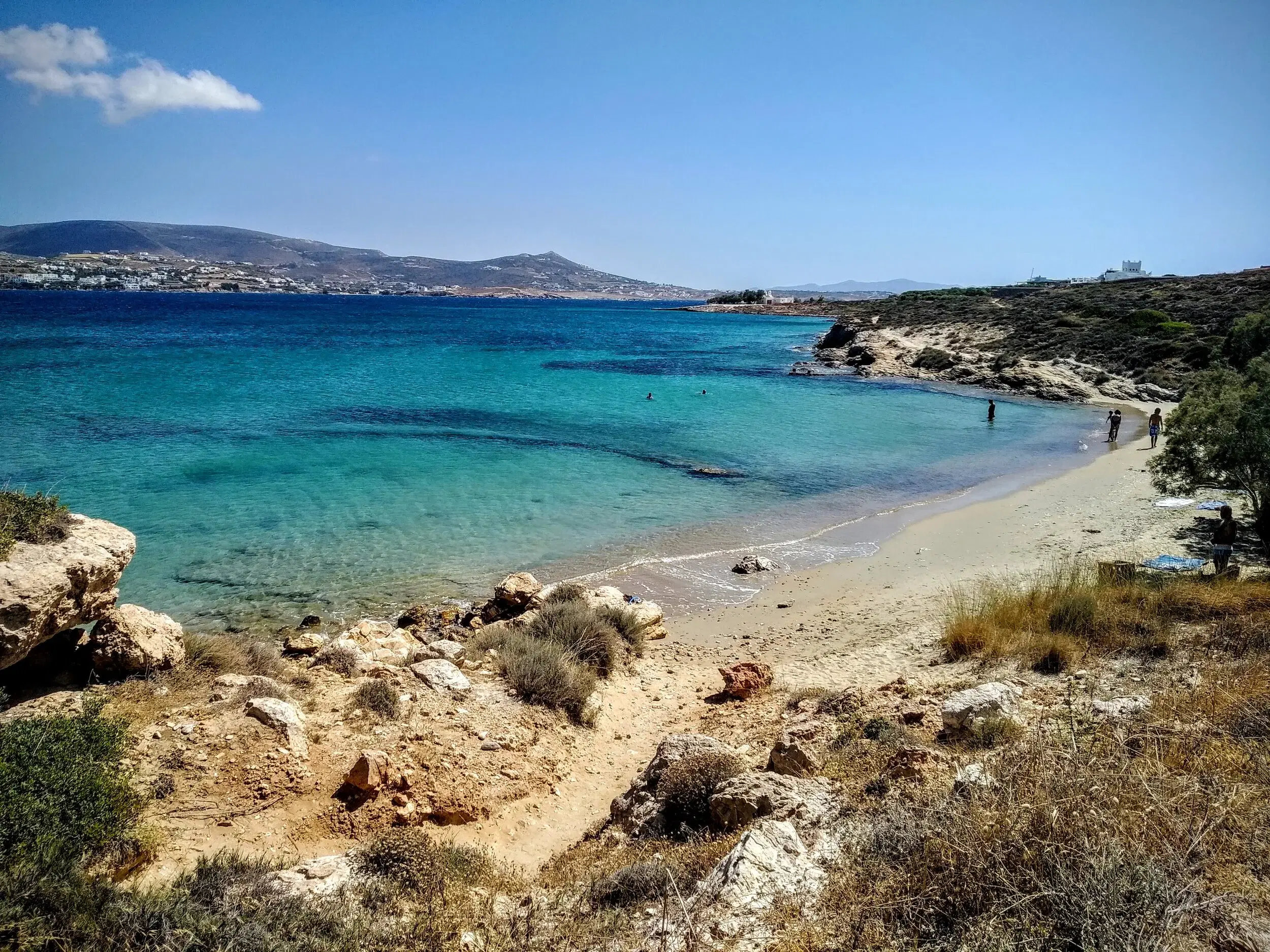 Marcello beach Paros — pine trees, calm water near Parikia